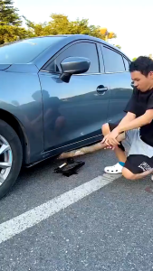 Kunci Pas Dongkrak Mobil Universal Ratchet Wrench Rocker - ShennyClothing