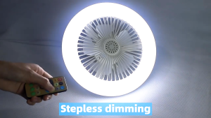 Ceiling Fan With Lights Remote Control E27 Converter Base 30W Smart Remote Control Ceiling Fan With LED Lighting For Living Room