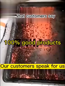 No Flies Within 500m: Fly Killing Bait Powder - Non-toxic & Odorless