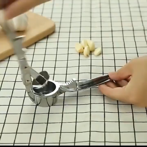 Easy Stainless Steel Garlic Pressure / Penghancur Bawang