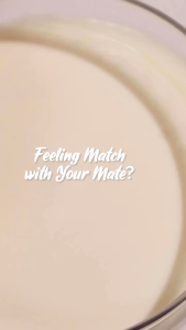 Hanasui Mattedorable Lip Cream Matcha Latte Edition - Lip Cream Hanasui - Matte Finish - Virgo Shoop