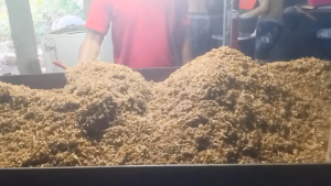BAWANG GORENG ASLI JEPARA (Grade A) 100gr