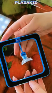 Tempat Makan Ikan Aquarium & Floating Feeding