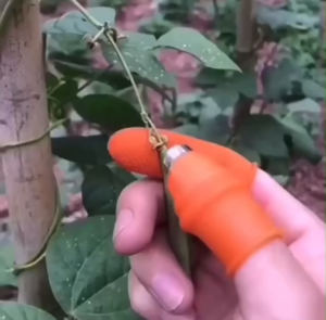 Găng Tay Làm Vườn Có Lưỡi Dao Inox – Combo 2 Bộ – Hái Trái Cắt Lá Gọt Vỏ Nhanh Gọn Chống Trượt