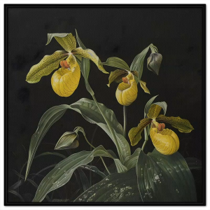 Tranh phong thủy hoa lan trên nền màu đen tranh treo tường dán tường trang trí phòng khách nội thất.CGI-742