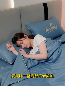 Casa Quilt Ice Silk Summer Satin Soft Silk Solid Blanket 100% Cool Feeling Single/Queen/King hari raya 1800TC Machine Washable Air Conditioning Quilt