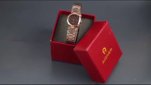 Box Exclusive Jam Tangan Aigner Fish VA-512NR / Jam Tangan Fashion Wanita Tali Rantai Diameter 26 cm