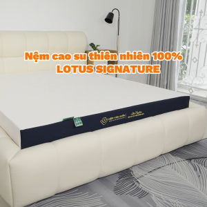 [DUY NHẤT 15-17/11 - MUA 1 TẶNG 7] Nệm Cao Su Thiên Nhiên Vạn Xuân Lotus Signature Nguyên Khối 100% Cao Su Thiên Nhiên Nệm Nguyên Khối Mềm Mại  Êm Ái Cảm Giác Nhẵn Và Bật Nảy Cực Tốt - Lazada