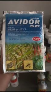 INSEKTISIDA AVIDOR 25 WP 100GR PEMBASMI HAMA WERENG PADA CABAI