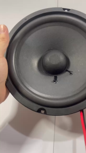 MUSICER 8 inch 300 watts Dual Magnet Instrumental Speaker MU-850