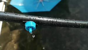 10Pcs Adjustable Irrigation Drippers Sprinklers EmitterMicro Drip Hose Dripper Steady Flow irirgation Dripper Pressure Compensating Emitter for Watering System
