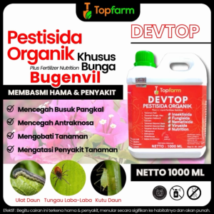 Pupuk Penyubur Bunga Bugenvil / Obat Bunga Bugenvil / Obat Bunga Kertas Biar Lebat / Obat Bunga Kertas / Obat Bunga Kembang Kertas / Obat Penyubur Bunga Kertas / Obat Hama Bunga Kembang Kertas