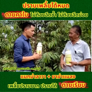 🔥🔥 ส่งฟรี 🔥🔥 แมกม่าลาวา แมกม่า สารจับใบเสริมประสิทธิภาพ ต้านเพลี้ยลดการหลุดร่วง + ปุ๋ยน้ำ ลาวา เร่งฟื้นฟูต้นเพิ่มปริมาณ ลดต้นทุน