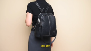 Tas Ransel Wanita Kampus Back Pack Premium Kulit Pu WS - FJ 10