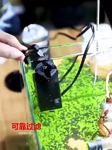 Lọc váng Jingye Surface Skimmer JY 350 oil film mini chặn hút cá tép an toàn bể thủy sinh