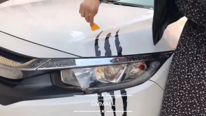 PROTON SAGA Monster Claw Scratch Mark Decal sticker Bumper lamp Stiker Pelekat Cakar Harimau saga flx blm 汽车贴纸