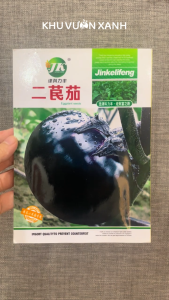 Hạt giống Cà bát tím (Cà tím tròn) quả to - Gói khoảng 100 hạt - Nội địa Trung