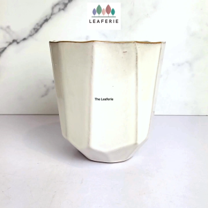 The Leaferie Quy plant pots Ceramic flowerpot flowerpots flower pot planter planters