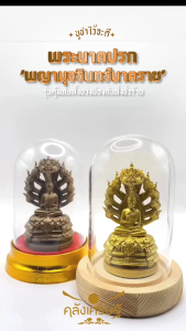 พระนาคปรก ‘พญามุจรินทร์นาคราช‘ สูง 3 นิ้ว หน้าตัก 1 นิ้ว  รุ่นคุ้มภัยทั้งปวง ป้องกันสิ่งชั่วร้าย เนื้อเรซิ่น