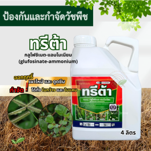 ทรีต้า 4 ลิตร กลูโฟซิเนต แอมโมเนียม กำจัดวัชพืช กำจัดหญ้า ออกฤทธิ์ทั้งเผาไหม้และดูดซึม