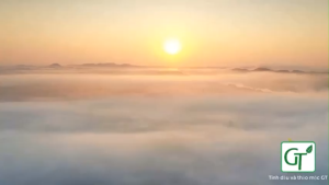 Tinh Dầu Vỏ Bưởi GT Chai 10 - 100ml - Dưỡng Tóc Giảm Rụng Tóc Kích Thích Mọc Tóc Hiệu Quả Nhanh