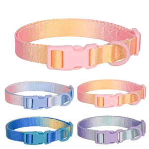 PE-1207 ปลอกคอสัตว์เลี้ยงสุนัข หมา แมว ไล่โทนสี (มีสายจูงขายแยก) กันน้ํา ระบายอากาศ ราคาถูก พร้อมส่ง🦮🐱