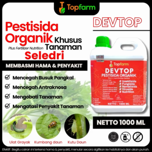 Obat Hama dan Penyakit Seledri: Solusi Efektif