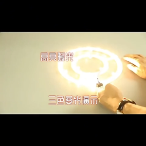 Easyhome.sg 3 Color LED Ceiling Light Replacement Magnetic Modular Circular Tube