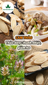 Cam thảo 1kg cam thảo khô thái lát thơm đẹp trà cam thảo vị ngọt tự nhiên tốt cho người ăn kiêng