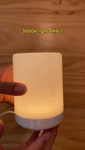 READY STOCK SAMSPACE CELLA Touch Light LED Lamp 3 Color Step less Dimming USB Charging Desk Lamp Bedside Night Light