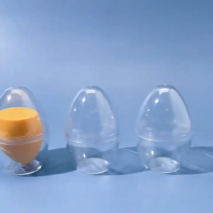 Transparent Sponge Puff Storage Box: A Complete Guide