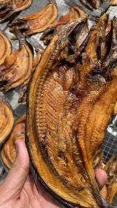 ปลาช่อนย่าง ปลาช่อนนาย่าง ปลาย่างต้มโคล้ง หอมนาน เนื้อแน่นมาก