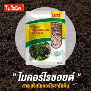 (2 ซอง) Bionic ไมคอร์ไรซา เร่งราก เพิ่มความแข็งแรงราก พืชโตไว เร่งผล ป้องกันโรคพืช ไบโอนิค เชื้อราไมคอร์ไรซา 50 กรัม