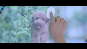 Thiết bị xua đuổi côn trùng ve rận muỗi bằng sóng siêu âm cho chó mèo (mẫu mới) - Love pets shop