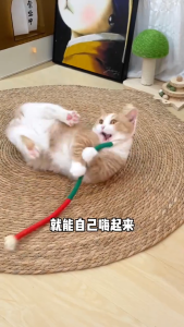Cat Chew Rope Teeth Grinding Soft Cotton Gall Cleaning Bite-Resistant Cat Toys