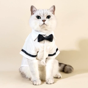 【Whisker Wonders】 Whisker Gentleman Set White Shirt Cat Clothing Pet Clothes for Dog Puppy Male Terno Shih Tzu Cat Clothes Birthday Wedding Party Outfit Set