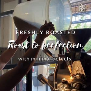 Brazil Fazenda Santa Maria SPECIALTY COFFEE