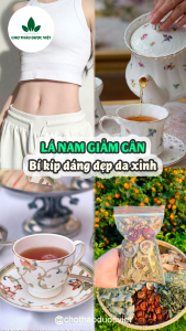 Combo 10 set lá nam giảm mỡ ( Trà thảo mộc tiêu mỡ detox cơ thể phù hợp cho người ăn kiêng) - Chợ Thảo Dược Việt
