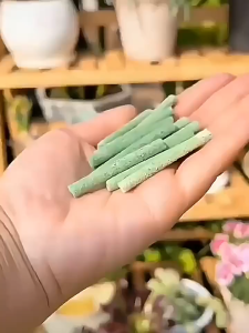 30Pcs/Box Plant Food Fertilizer Stick Slow Release Stick Nutrient For Houseplants Flower Potted Plants Garden 植物缓释营养棒 植物肥料棒