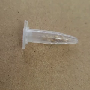 Sweet Aperitif Tomato มะเขือเทศ ที่มีรสชาติหวานมาก ลูกดก มีระดับความหวานอยู่ 13 Brix 1ชุด 10 เมล็ด พร้อมส่ง