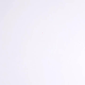 10Pcs Invisible Wall Mount Nail Hook Plastic Seamless Wall Nails Hook for Photo Picture Frame