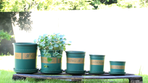 Combo Chậu Nhựa Trồng Cây Cỡ Lớn GARDENING Kèm Dĩa 7gl - 38x30x40cm Phù Hợp Decor Ban Công Trang Trí Sân Vườn