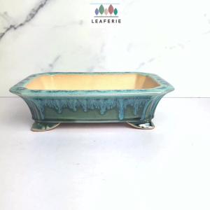 The Leaferie Bonsai Tally (Series 7) Rectangular Plant pot Rectangle Ceramic Flowerpot Flower pots