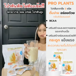 ของแท้ โปรตีนวีแกน Proplant สำหรับคนไม่ทานเนื้อสัตว์ เพิ่มกล้ามเนื้อ เสริมโปรตีน ของแท้ ไม่ตัดQR อร่อย ละลายง่าย