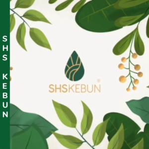 Kenanga Wangi Bunga Ylang Ylang Cananga odorata Pokok Hidup SHS Kebun