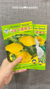 Hạt giống Bí ngòi (Bí ngồi) đĩa bay màu Trắng màu Vàng - Gói 10 hạt - hàng Nội địa Trung