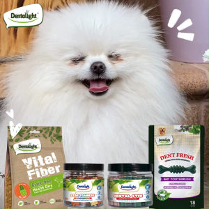 Dentalight Dog Dental Treats Best Seller Fresh Breath Assorted Bundle