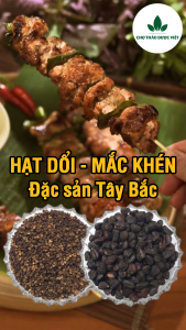 50g hạt dổi + 200g hạt mắc khén đặc sản tây bắc thơm ngon chuẩn loại 1 - Chợ Thảo Dược Việt