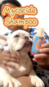 150ml Mycocide Shampoo Anti Fleas and Tick Veterinarian Recommended Shampoo