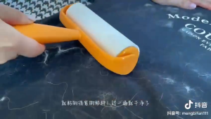 Easyhome.sg Strong Sticky Clothing Hair Dust Pet Hair Removal Lint Roller / Refillable Stickers